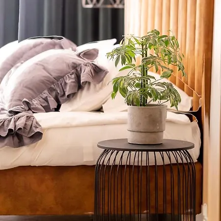 Sypialnia Nad Morzem * Kolobrzeg